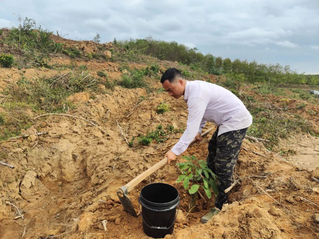 1747615646261075061.jpg 1747615646261075061.jpg