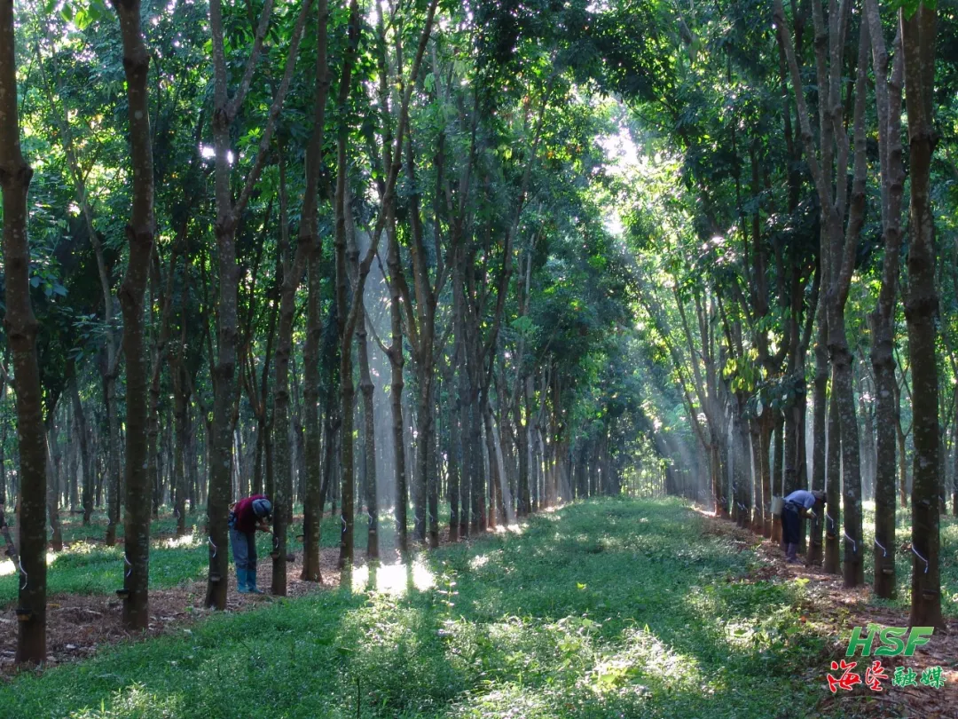 1755044771798013746.jpg 1755044771798013746.jpg