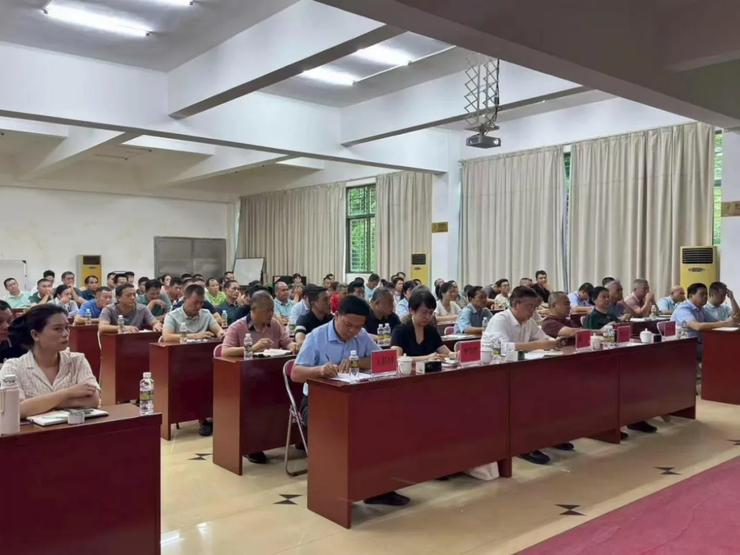 1757171595966092904.jpg 1757171595966092904.jpg